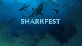 Sharkfest Hero