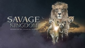 Savage Kingdom Hero