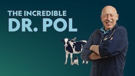 The incredible Dr. Pol Hero